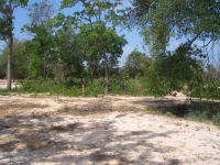 cimg2403