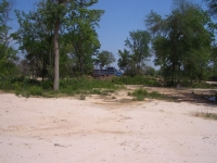 cimg2405