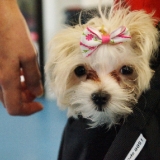 gracie-belle-shaver-01