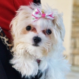 gracie-belle-shaver-02