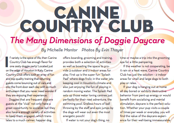 Doggie-Daycare-PetTalk-March-2013